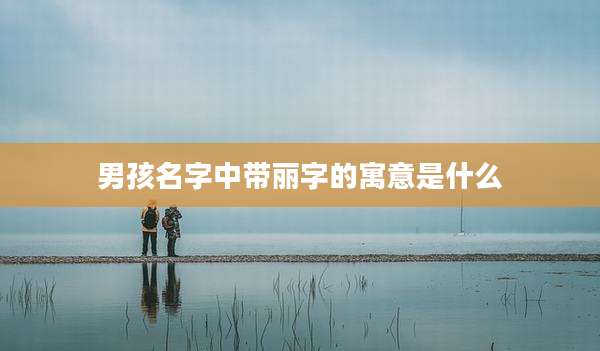 男孩名字中带丽字的寓意是什么