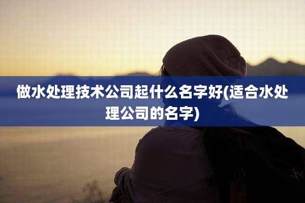 做水处理技术公司起什么名字好(适合水处理公司的名字)