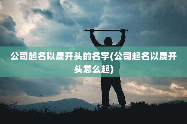 公司起名以晟开头的名字(公司起名以晟开头怎么起)