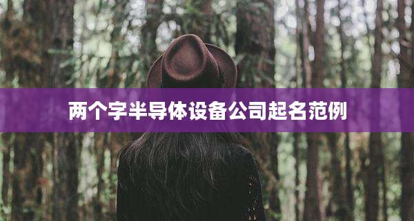 两个字半导体设备公司起名范例