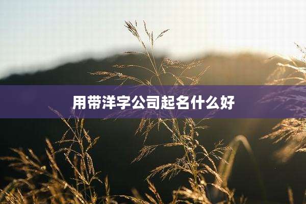 用带洋字公司起名什么好