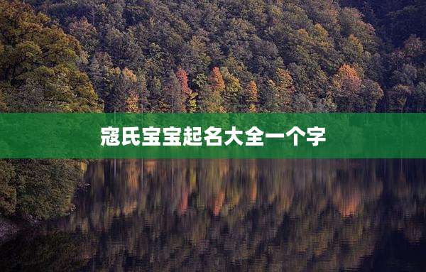 寇氏宝宝起名大全一个字