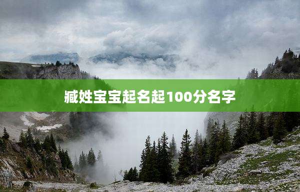 臧姓宝宝起名起100分名字
