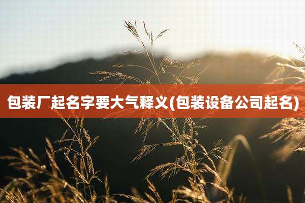 包装厂起名字要大气释义(包装设备公司起名)