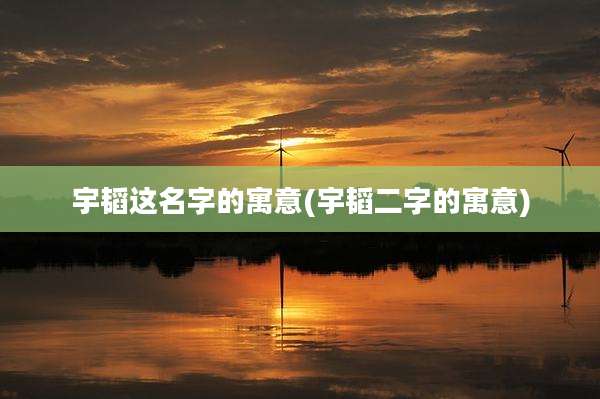 宇韬这名字的寓意(宇韬二字的寓意)