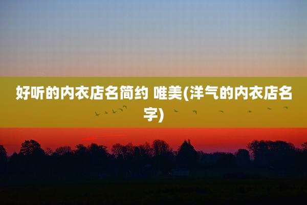 好听的内衣店名简约 唯美(洋气的内衣店名字)