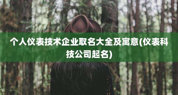 个人仪表技术企业取名大全及寓意(仪表科技公司起名)