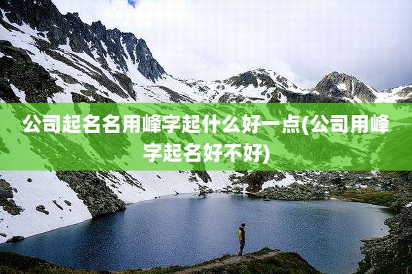 公司起名名用峰字起什么好一点(公司用峰字起名好不好)