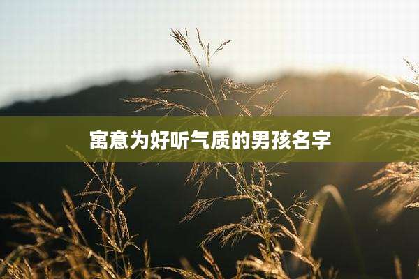 寓意为好听气质的男孩名字