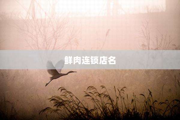 鲜肉连锁店名