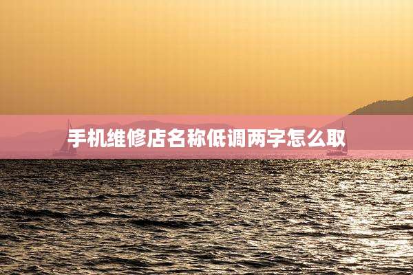 手机维修店名称低调两字怎么取