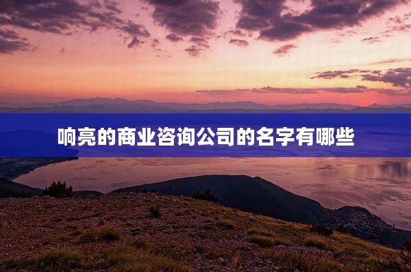 响亮的商业咨询公司的名字有哪些