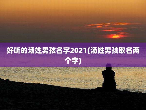 好听的汤姓男孩名字2021(汤姓男孩取名两个字)