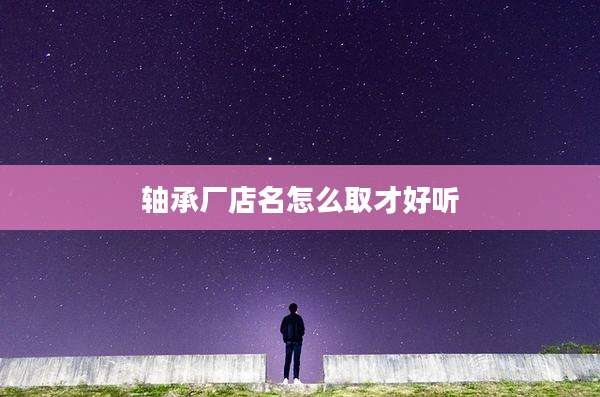 轴承厂店名怎么取才好听