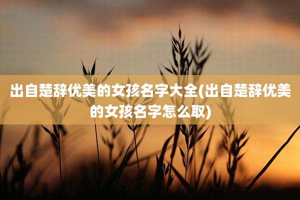 出自楚辞优美的女孩名字大全(出自楚辞优美的女孩名字怎么取)