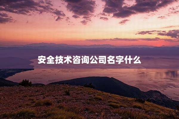 安全技术咨询公司名字什么