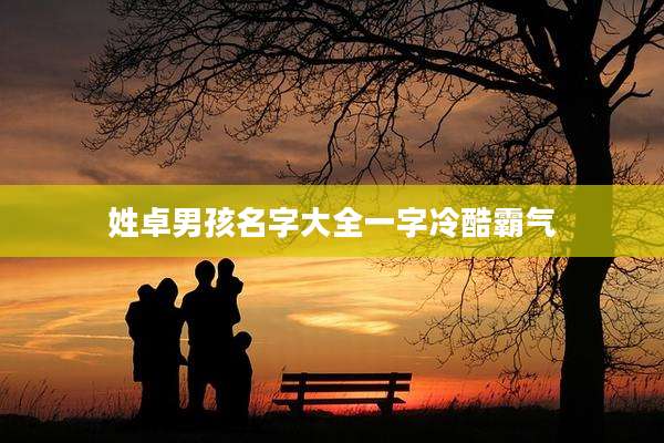 姓卓男孩名字大全一字冷酷霸气
