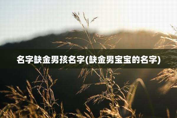 名字缺金男孩名字(缺金男宝宝的名字)