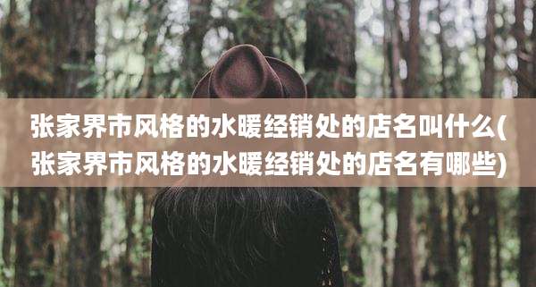 张家界市风格的水暖经销处的店名叫什么(张家界市风格的水暖经销处的店名有哪些)