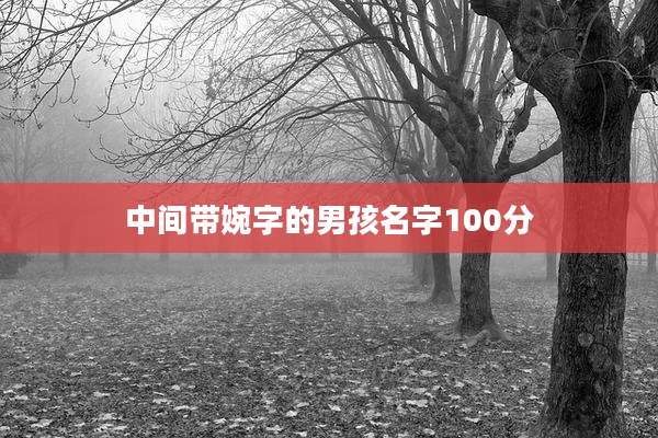 中间带婉字的男孩名字100分