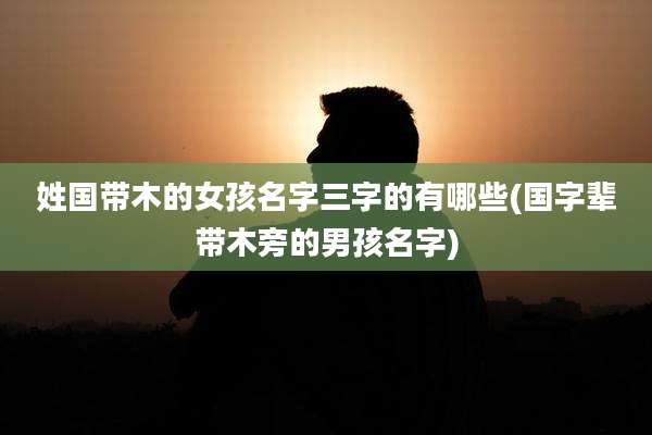 姓国带木的女孩名字三字的有哪些(国字辈带木旁的男孩名字)