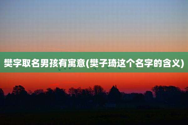 樊字取名男孩有寓意(樊子琦这个名字的含义)