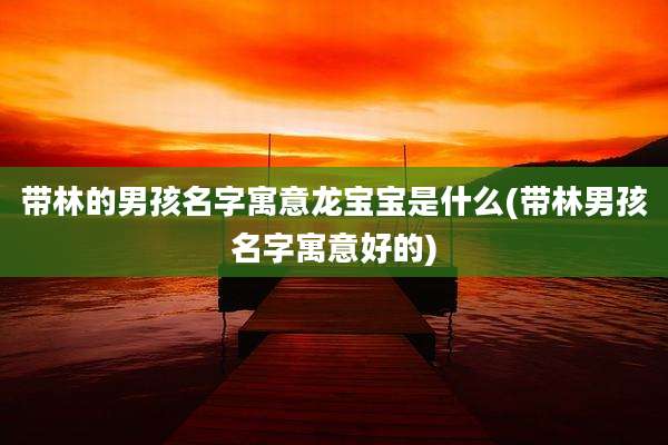带林的男孩名字寓意龙宝宝是什么(带林男孩名字寓意好的)