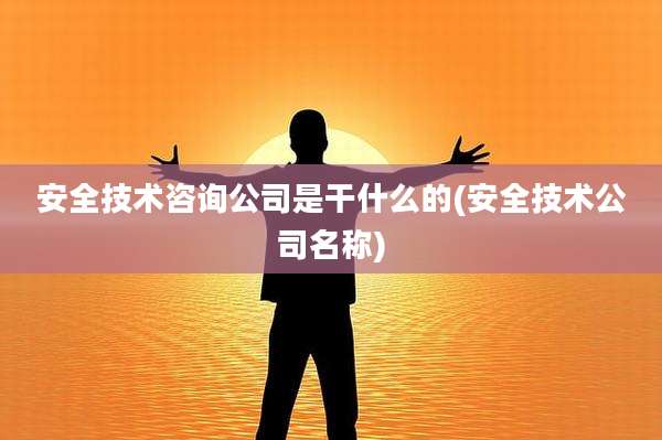 安全技术咨询公司是干什么的(安全技术公司名称)
