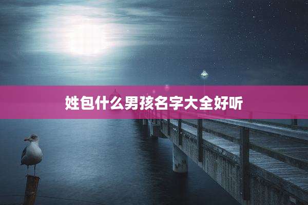 姓包什么男孩名字大全好听