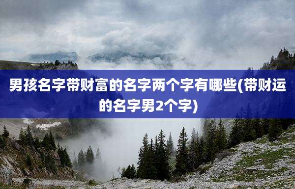 男孩名字带财富的名字两个字有哪些(带财运的名字男2个字)