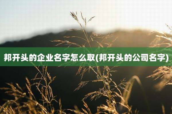 邦开头的企业名字怎么取(邦开头的公司名字)