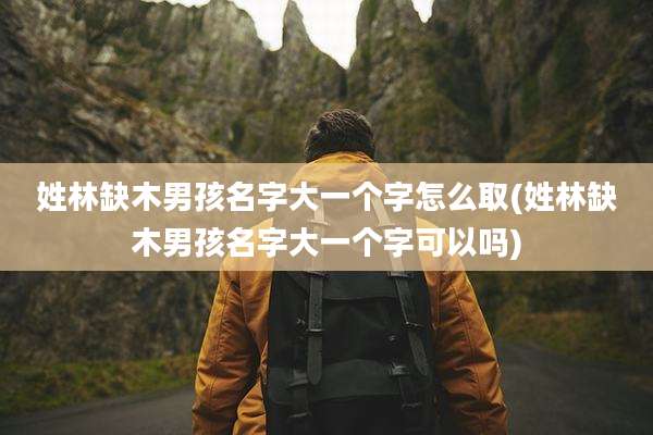 姓林缺木男孩名字大一个字怎么取(姓林缺木男孩名字大一个字可以吗)