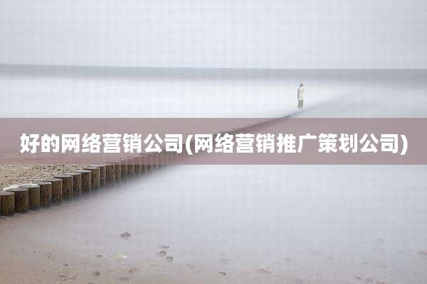 好的网络营销公司(网络营销推广策划公司)
