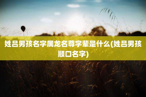 姓吕男孩名字属龙名尊字辈是什么(姓吕男孩顺口名字)