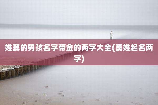 姓窦的男孩名字带金的两字大全(窦姓起名两字)