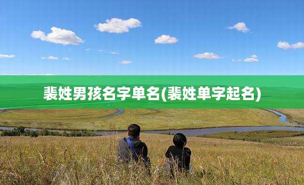 裴姓男孩名字单名(裴姓单字起名)