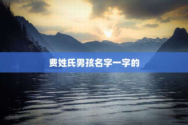 费姓氏男孩名字一字的