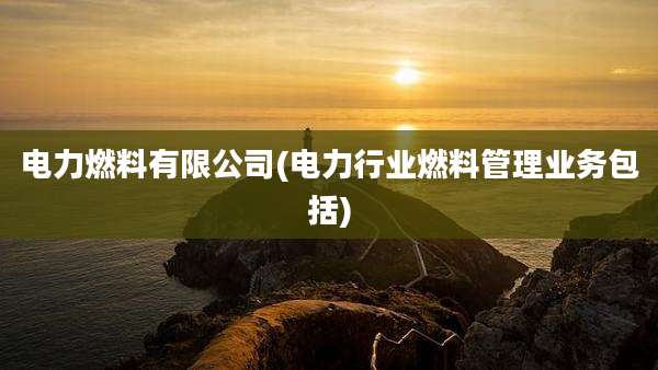 电力燃料有限公司(电力行业燃料管理业务包括)