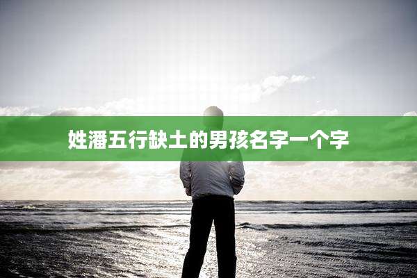 姓潘五行缺土的男孩名字一个字