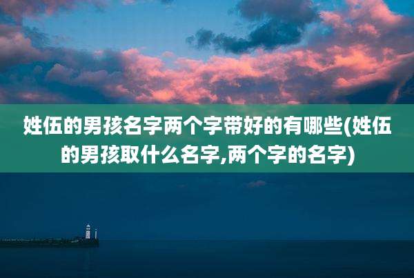 姓伍的男孩名字两个字带好的有哪些(姓伍的男孩取什么名字,两个字的名字)