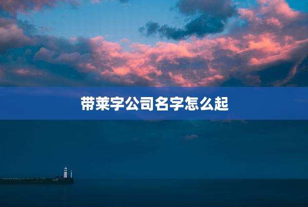 带莱字公司名字怎么起