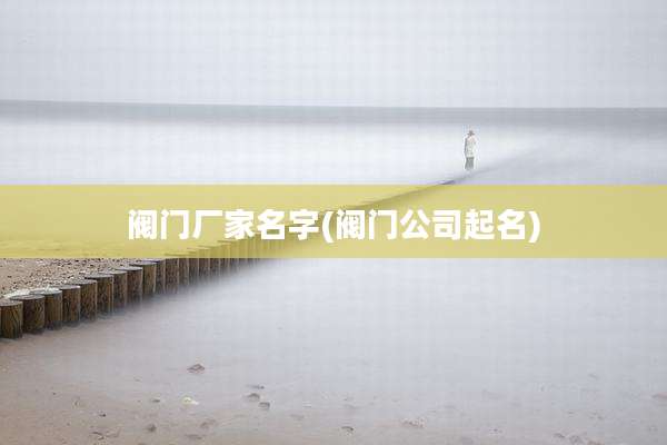 阀门厂家名字(阀门公司起名)