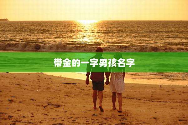带金的一字男孩名字