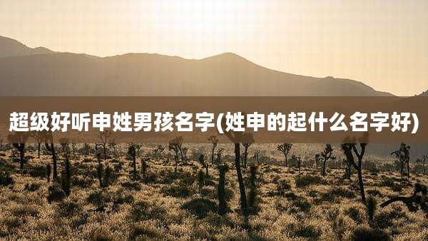 超级好听申姓男孩名字(姓申的起什么名字好)