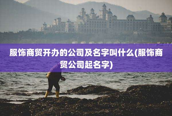 服饰商贸开办的公司及名字叫什么(服饰商贸公司起名字)