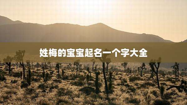 姓梅的宝宝起名一个字大全