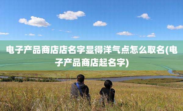 电子产品商店店名字显得洋气点怎么取名(电子产品商店起名字)