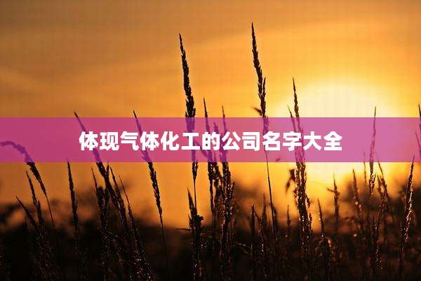 体现气体化工的公司名字大全