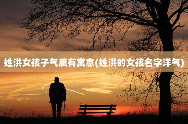 姓洪女孩子气质有寓意(姓洪的女孩名字洋气)