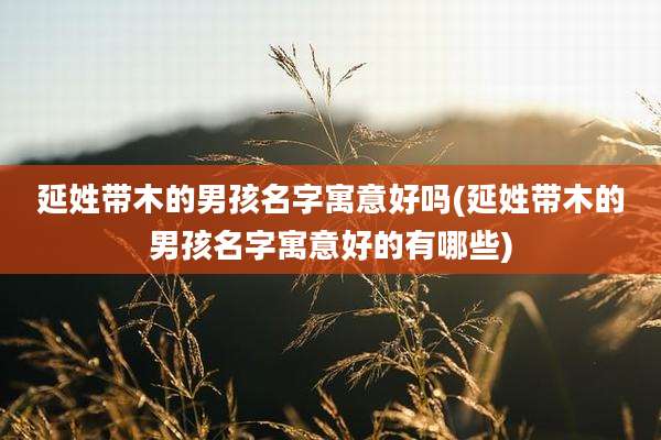 延姓带木的男孩名字寓意好吗(延姓带木的男孩名字寓意好的有哪些)